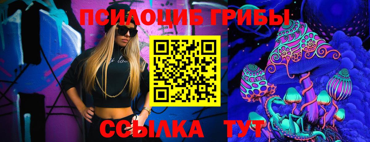 купить наркотик  Галлюциногенные грибы MAGIC MUSHROOMS  Вход с VPN  Псилоцибиновые грибы Psilocybine cubensis  Каспийск 