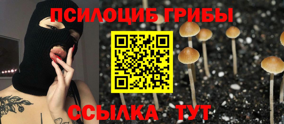 Галлюциногенные грибы мицелий Каспийск